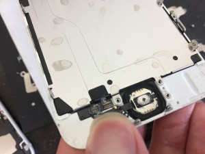 F1034576-8164-4F56-A4E3-A1799C7F396B