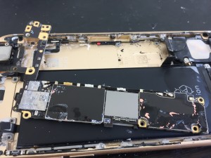 4D97826E-EC0F-4129-8CC8-3999B081E92B