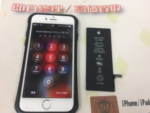 631A9495-FE84-41ED-8D61-DA1AFD02A64A