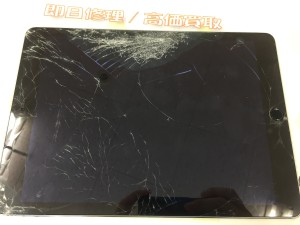 949CE1EE-F657-4B5C-9799-92F0D99D8AAC