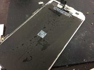 497FE534-5396-4E8E-A8B4-253DAFFA1033