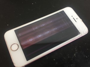 513F52C2-D873-4590-BF90-4C696C3F538B