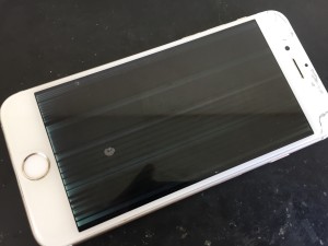 624BD91B-9388-4D9B-B697-B6D820D075F0