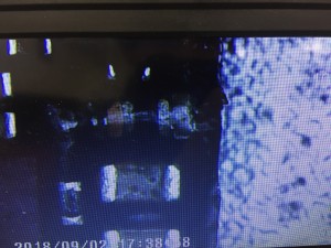 8768B500-AC46-49C7-929D-7F806D8AF03D