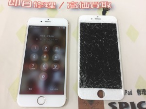 24E11F81-985F-4D64-B6D4-17C9E956B411