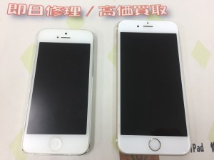 506D008A-3B64-499D-8F01-C019BB377B1B