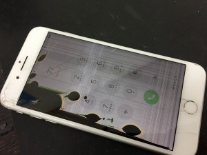 6DBBFA92-4361-45CE-9FD4-68C8455C1C2B