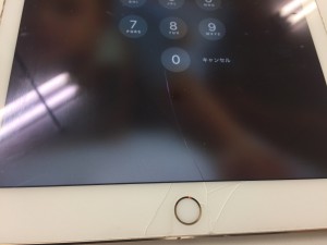 CFA5EE9E-F231-4C5A-8AD9-876D960A86F5