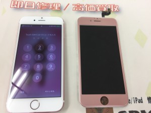 0A481F80-3542-449D-9EDF-4BB24F0E73AA