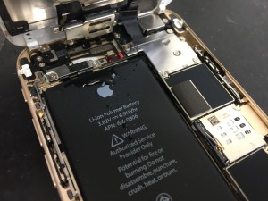 1FA98D95-F3B3-48DB-80DE-4577BA43D985