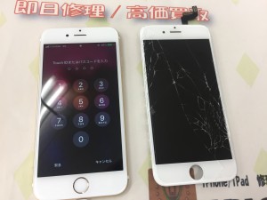 7AA59545-5302-4C72-8C72-F2A0ABF3740D