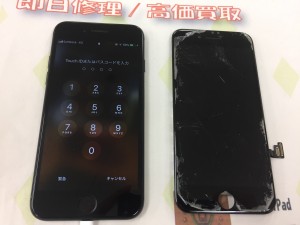 810D8B15-C8D1-4F21-BBF1-9156644AB9ED