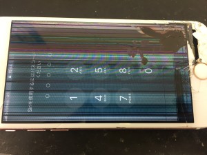 88E1E907-667B-464C-9EB0-A349AC784542