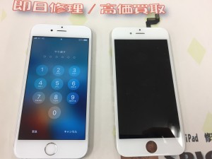 982E17EB-229B-41B9-991E-36AF19038808