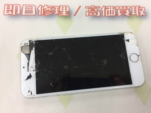 CD81759B-F508-40CE-8FBD-5C53F52D7460