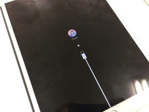 DBB14FC8-3D71-4EBD-9705-D9BD901641BD