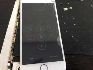 FF3391B7-AAD0-48A9-8692-26A89184BB0B