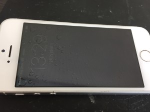 0E08FF65-0979-4804-B2B7-E373B5AC0A5F