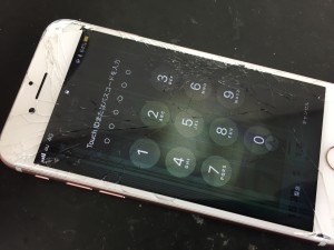 3E3BB656-5A0D-4068-B75C-5F5774690346