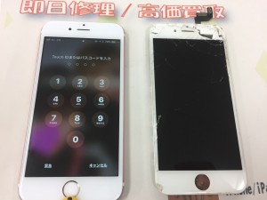 98676587-BCEE-4F55-87FD-B60DCD3EC9EC