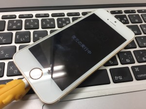 E8293E41-BF62-4D5D-9904-7A2EA48C4B31