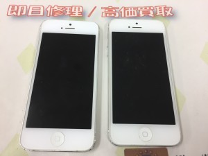 102050E8-0480-4797-BDC1-2412E45D8A0C