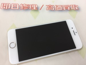 00E8A62E-2924-40BA-B54C-74D0FA27785A