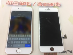 17673885-86F6-47C1-B317-5071E6003745