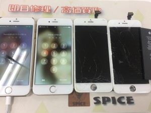 B1603F12-B750-4EEA-9F1B-1FEBB5A9CEB2