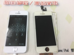 21632FF3-5AC1-4B89-8BEE-13FCDE1F9CE0