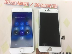 91C4878E-0808-4754-AD7E-99A413F89ED8