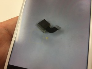 D2AD1F94-E324-4DEF-A8AE-42CB3008A897