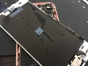 5A269D6B-2C24-41DE-B260-FA4DBA609510