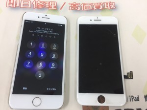 81295357-99F4-442A-B571-FC815003AC39