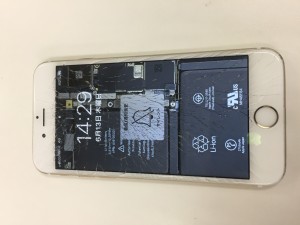 A2D4F8CB-E822-4E94-AF31-CCA7E6CDDC40