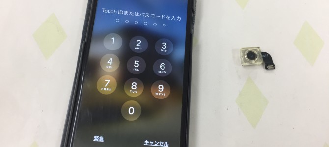 ◆加古郡稲美町よりiPhone7 アウトカメラ修理 -2019 6/23-
