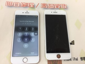 D9444FED-C312-44AB-B062-3DDC8E064618