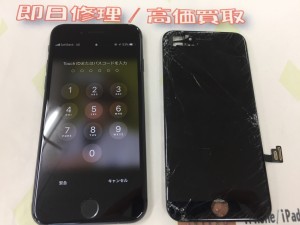 39F8F814-3946-4A46-BB7D-0B9761F9C26F