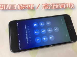 560C277F-70E8-4CFB-98F6-C76408B26873