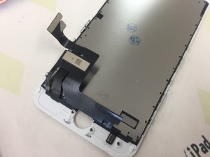 5807DC71-8976-4866-9FF4-597A9DD93620