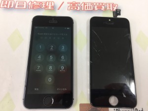 0F01392B-274E-4D77-8D7C-F8A010791590