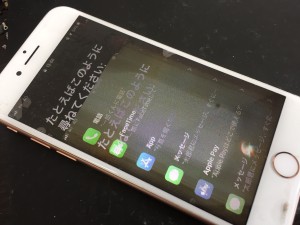 2FF7E3F6-FED4-4169-B821-B3ED31AE3C2F