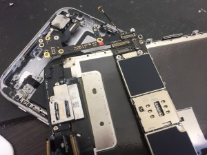 388D7FA5-CC76-4497-BDBC-C227FA8B0DDC