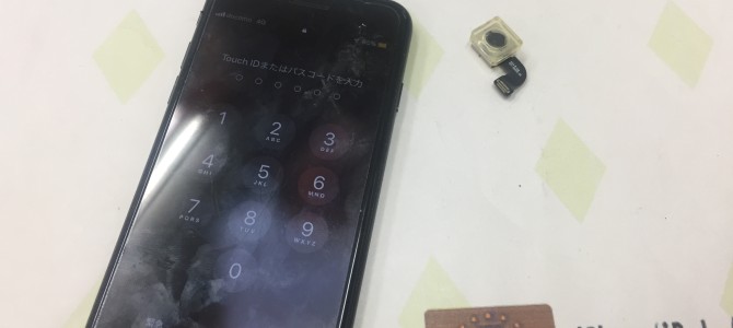 ◆加古川市よりiPhone7 アウトカメラ修理 -2019 8/27-