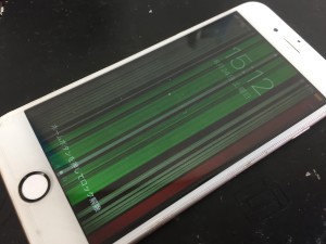 AF5C5495-C748-40A9-B3BF-B20E89495670