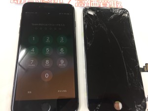 B81D0252-EED1-432C-89BC-358D42F2FA4E