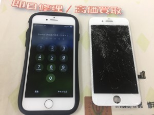 D6B19C87-503B-4966-AFE2-B1BCB91393DA