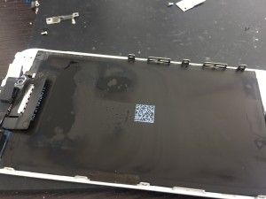 F1C119BC-D92E-4DDF-B508-186F2B7D1625