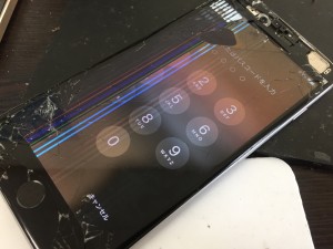 32EE85BF-5062-4CAA-B373-40258015CE7F