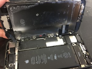 362927BD-017D-4EC0-9082-4DA7F703E033